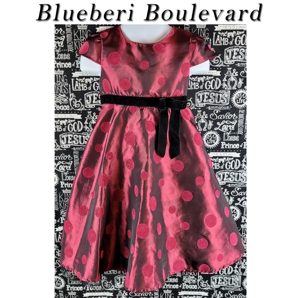 Blueberi Boulevard Dress Size 4
